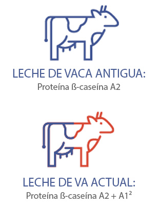 Leche de vaca