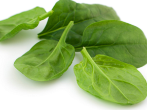 Propiedades nutricionales del puré de espinaca