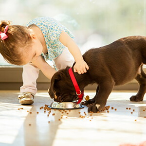 La importancia de una mascota en casa