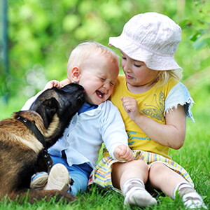 Mordeduras de perro: ¿Cómo prevenirlas?