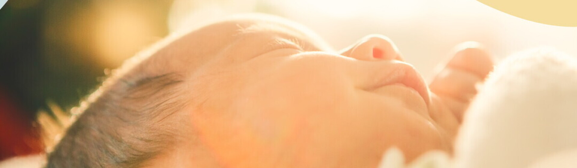 banner-mobile-etapa-de-0-a-6-meses.jpg