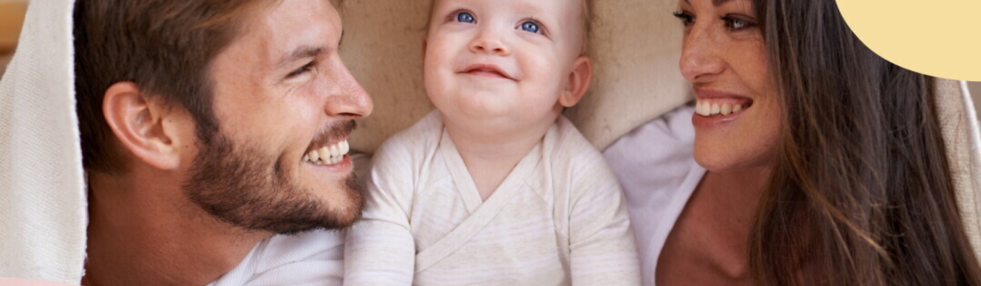 banner-mobile-herramienta-curvas-de-creciemiento