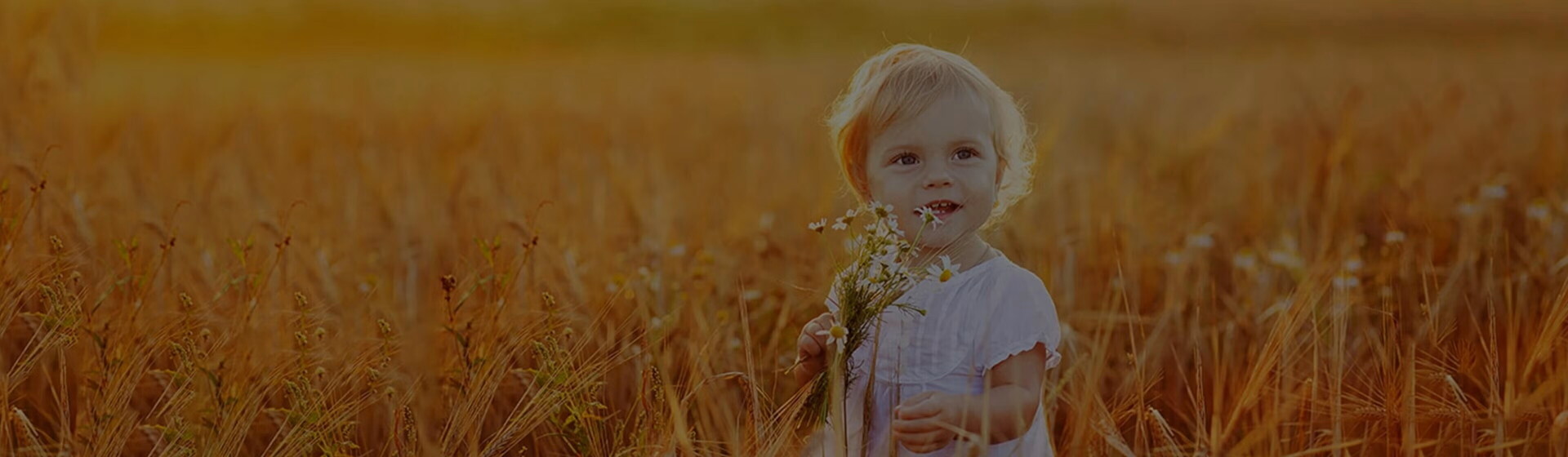 Preguntas frecuentes